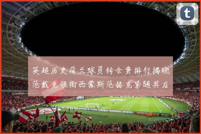 英超历史荷兰球员转会费排行揭晓范戴克领衔西蒙斯范赫克紧随其后