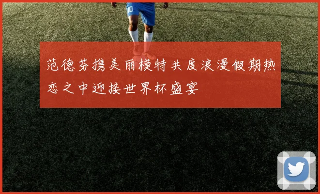 范德芬携美丽模特共度浪漫假期热恋之中迎接世界杯盛宴